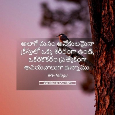 Picture 05 - రోమీయులకు 12:5 TELIRV - అలాగే మనం - Bible Verse Picture