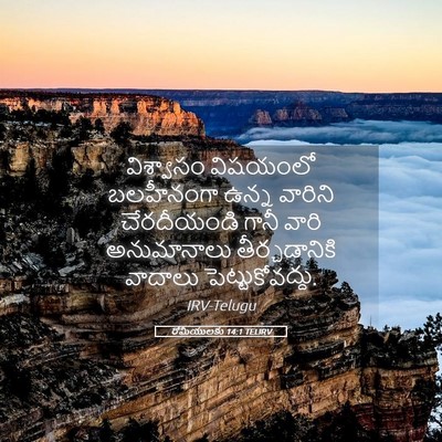Picture 05 - రోమీయులకు 14:1 TELIRV - విశ్వాసం విషయంలో - Bible Verse Picture