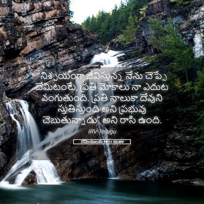 Picture 05 - రోమీయులకు 14:11 TELIRV - “నిశ్చయంగా - Bible Verse Picture