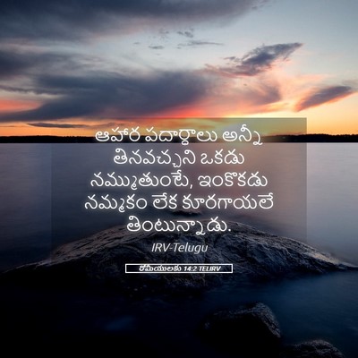 Picture 05 - రోమీయులకు 14:2 TELIRV - ఆహార పదార్ధాలు - Bible Verse Picture