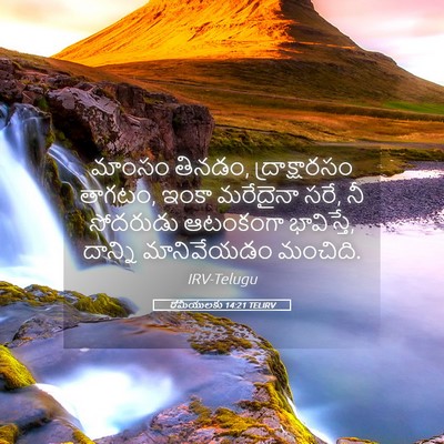 Picture 05 - రోమీయులకు 14:21 TELIRV - మాంసం తినడం, - Bible Verse Picture