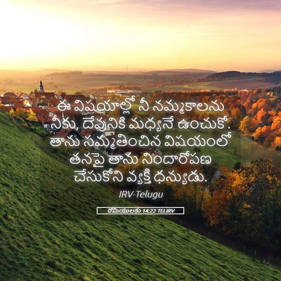 Picture 05 - రోమీయులకు 14:22 TELIRV - ఈ విషయాల్లో నీ - Bible Verse Picture