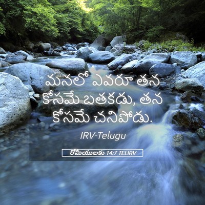 Picture 05 - రోమీయులకు 14:7 TELIRV - మనలో ఎవరూ తన కోసమే - Bible Verse Picture