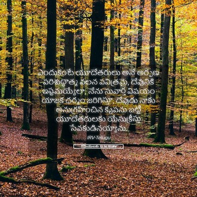 Picture 05 - రోమీయులకు 15:16 TELIRV - ఎందుకంటే - Bible Verse Picture