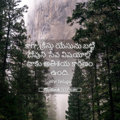 Picture 05 - రోమీయులకు 15:17 TELIRV - కాగా, క్రీస్తు - Bible Verse Picture