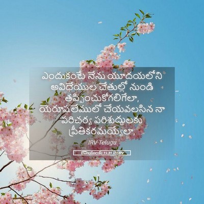 Picture 05 - రోమీయులకు 15:31 TELIRV - ఎందుకంటే నేను - Bible Verse Picture