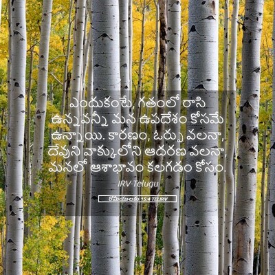 Picture 05 - రోమీయులకు 15:4 TELIRV - ఎందుకంటే, గతంలో - Bible Verse Picture
