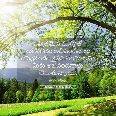 Picture 05 - రోమీయులకు 16:16 TELIRV - పవిత్రమైన - Bible Verse Picture