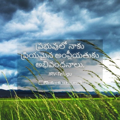 Picture 05 - రోమీయులకు 16:8 TELIRV - ప్రభువులో నాకు - Bible Verse Picture