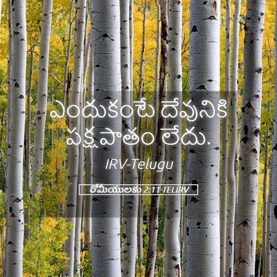 Picture 05 - రోమీయులకు 2:11 TELIRV - ఎందుకంటే దేవునికి - Bible Verse Picture