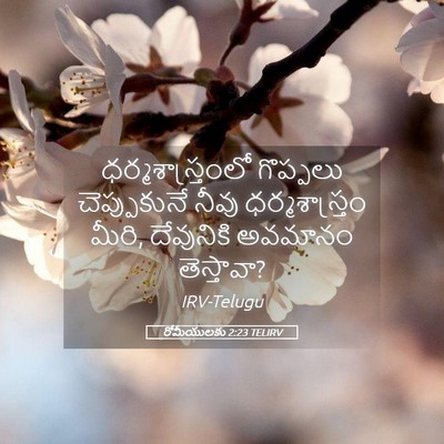 Picture 05 - రోమీయులకు 2:23 TELIRV - ధర్మశాస్త్రంలో - Bible Verse Picture