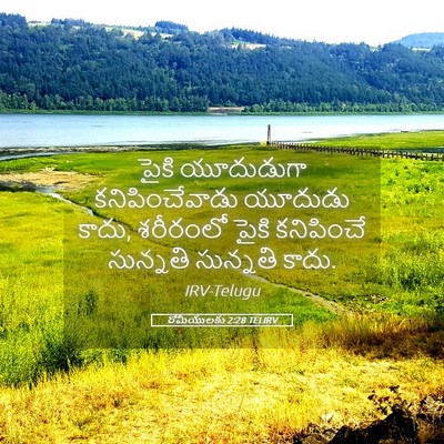 Picture 05 - రోమీయులకు 2:28 TELIRV - పైకి యూదుడుగా - Bible Verse Picture