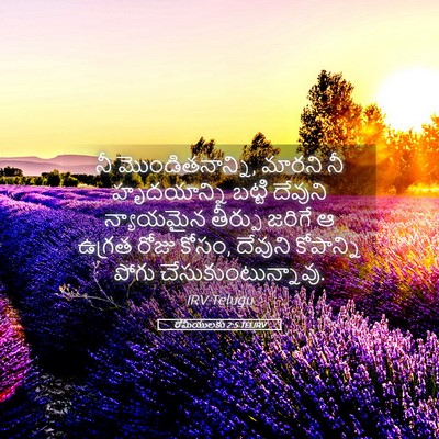 Picture 05 - రోమీయులకు 2:5 TELIRV - నీ మొండితనాన్ని, - Bible Verse Picture