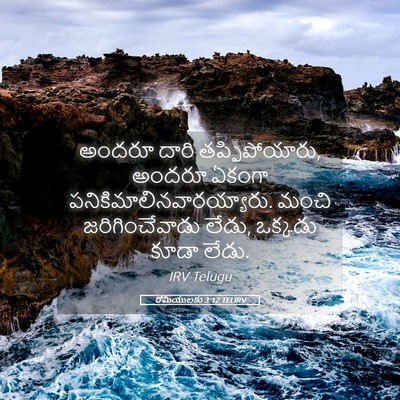 Picture 05 - రోమీయులకు 3:12 TELIRV - అందరూ దారి - Bible Verse Picture