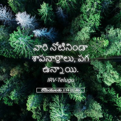 Picture 05 - రోమీయులకు 3:14 TELIRV - వారి నోటినిండా - Bible Verse Picture