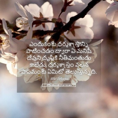 Picture 05 - రోమీయులకు 3:20 TELIRV - ఎందుకంటే - Bible Verse Picture