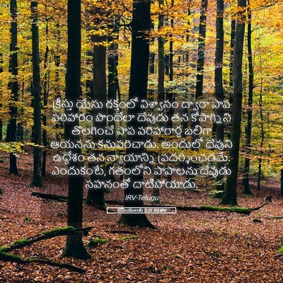 Picture 05 - రోమీయులకు 3:25 TELIRV - క్రీస్తు యేసు - Bible Verse Picture