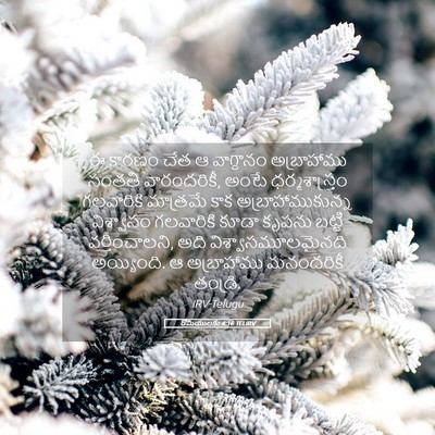 Picture 05 - రోమీయులకు 4:16 TELIRV - ఈ కారణం చేత ఆ - Bible Verse Picture