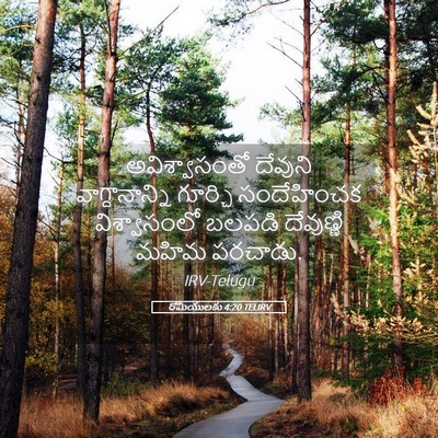 Picture 05 - రోమీయులకు 4:20 TELIRV - అవిశ్వాసంతో - Bible Verse Picture