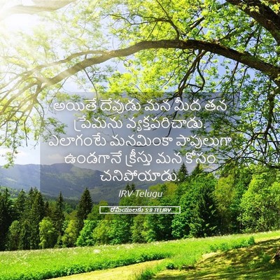 Picture 05 - రోమీయులకు 5:8 TELIRV - అయితే దేవుడు మన - Bible Verse Picture
