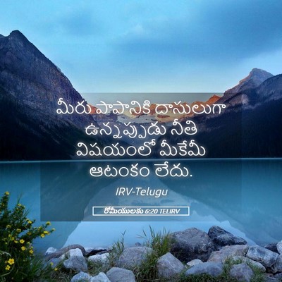 Picture 05 - రోమీయులకు 6:20 TELIRV - మీరు పాపానికి - Bible Verse Picture