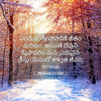 Picture 05 - రోమీయులకు 6:23 TELIRV - ఎందుకంటే పాపానికి - Bible Verse Picture