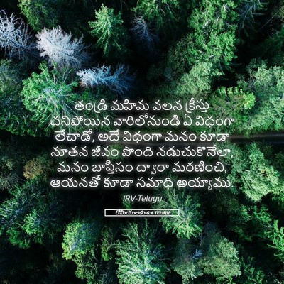 Picture 05 - రోమీయులకు 6:4 TELIRV - తండ్రి మహిమ వలన - Bible Verse Picture