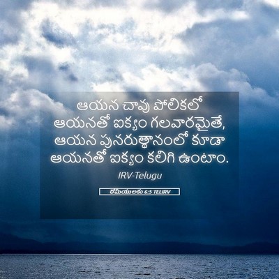 Picture 05 - రోమీయులకు 6:5 TELIRV - ఆయన చావు పోలికలో - Bible Verse Picture
