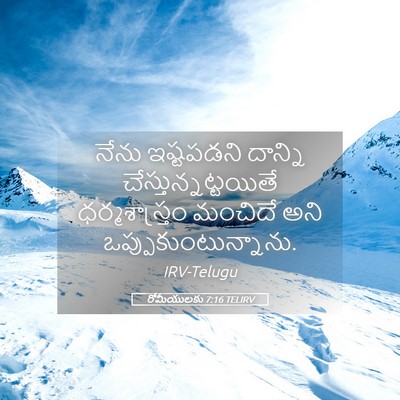 Picture 05 - రోమీయులకు 7:16 TELIRV - నేను ఇష్టపడని - Bible Verse Picture