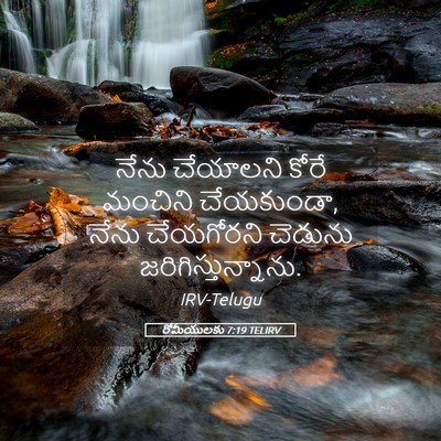 Picture 05 - రోమీయులకు 7:19 TELIRV - నేను చేయాలని కోరే - Bible Verse Picture