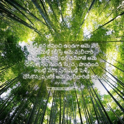 Picture 05 - రోమీయులకు 7:3 TELIRV - కాబట్టి భర్త - Bible Verse Picture