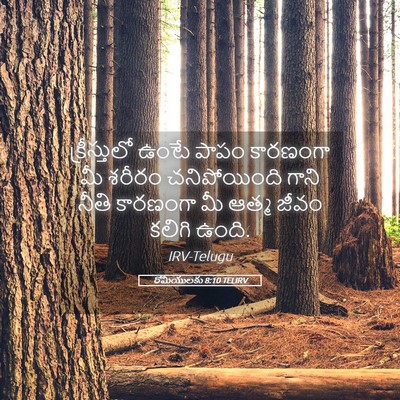 Picture 05 - రోమీయులకు 8:10 TELIRV - క్రీస్తులో ఉంటే - Bible Verse Picture