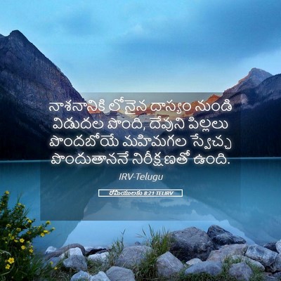 Picture 05 - రోమీయులకు 8:21 TELIRV - నాశనానికి లోనైన - Bible Verse Picture