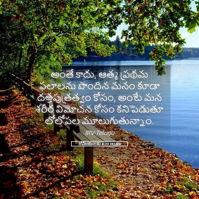 Picture 05 - రోమీయులకు 8:23 TELIRV - అంతే కాదు, ఆత్మ - Bible Verse Picture