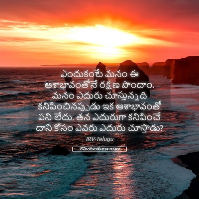Picture 05 - రోమీయులకు 8:24 TELIRV - ఎందుకంటే మనం ఈ - Bible Verse Picture