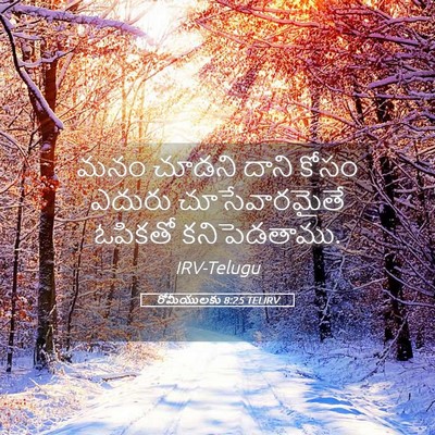 Picture 05 - రోమీయులకు 8:25 TELIRV - మనం చూడని దాని - Bible Verse Picture