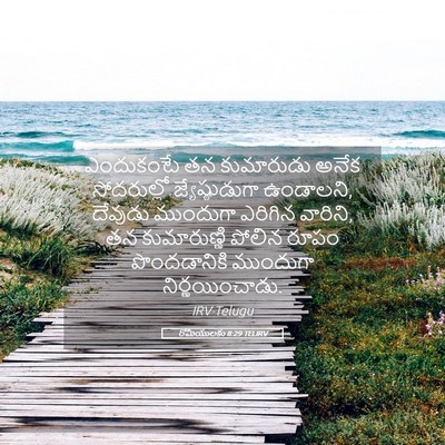 Picture 05 - రోమీయులకు 8:29 TELIRV - ఎందుకంటే తన - Bible Verse Picture