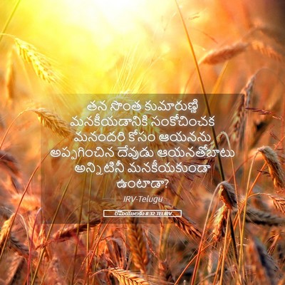Picture 05 - రోమీయులకు 8:32 TELIRV - తన సొంత - Bible Verse Picture