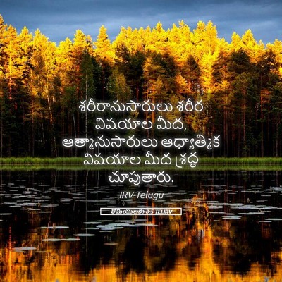 Picture 05 - రోమీయులకు 8:5 TELIRV - శరీరానుసారులు - Bible Verse Picture
