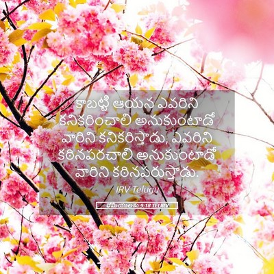 Picture 05 - రోమీయులకు 9:18 TELIRV - కాబట్టి ఆయన - Bible Verse Picture