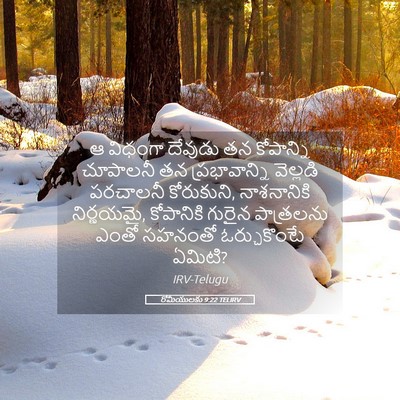 Picture 05 - రోమీయులకు 9:22 TELIRV - ఆ విధంగా దేవుడు తన - Bible Verse Picture