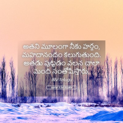 Picture 05 - లూకా 1:14 TELIRV - అతని మూలంగా నీకు - Bible Verse Picture
