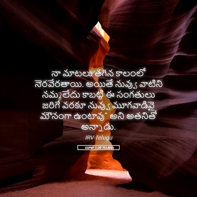 Picture 05 - లూకా 1:20 TELIRV - నా మాటలు తగిన - Bible Verse Picture