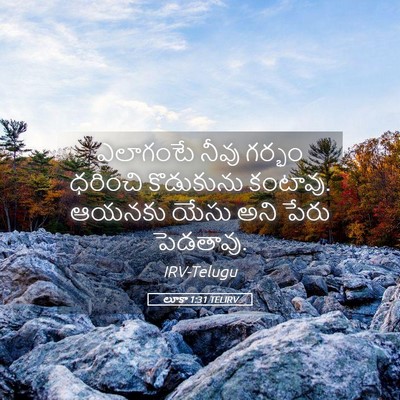 Picture 05 - లూకా 1:31 TELIRV - ఎలాగంటే నీవు - Bible Verse Picture