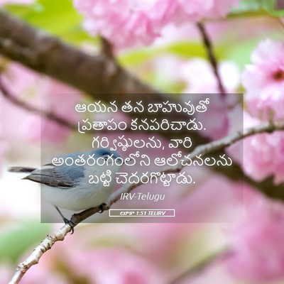 Picture 05 - లూకా 1:51 TELIRV - ఆయన తన బాహువుతో - Bible Verse Picture