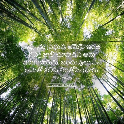 Picture 05 - లూకా 1:58 TELIRV - అప్పుడు ప్రభువు - Bible Verse Picture