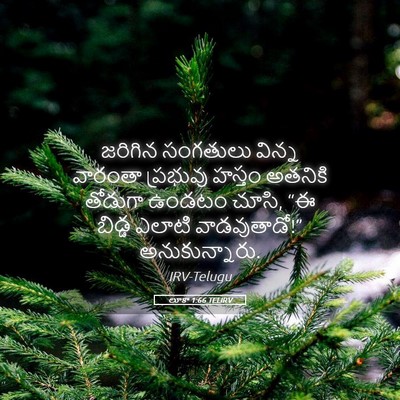 Picture 05 - లూకా 1:66 TELIRV - జరిగిన సంగతులు - Bible Verse Picture