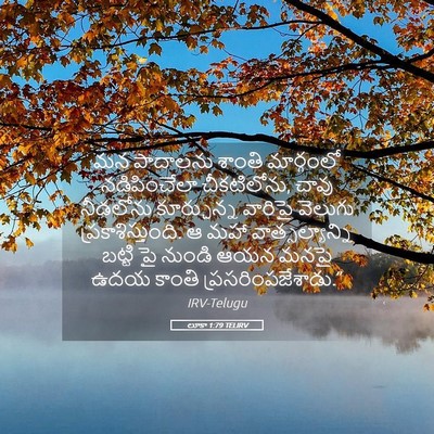 Picture 05 - లూకా 1:79 TELIRV - మన పాదాలను శాంతి - Bible Verse Picture