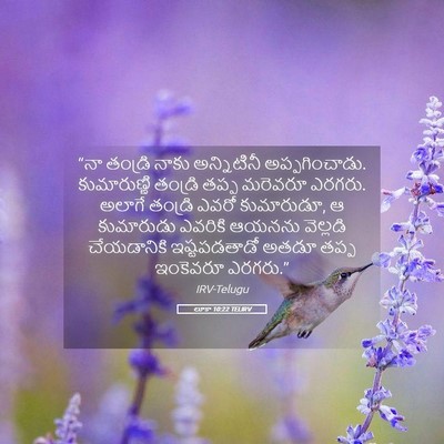 Picture 05 - లూకా 10:22 TELIRV - “నా తండ్రి నాకు - Bible Verse Picture