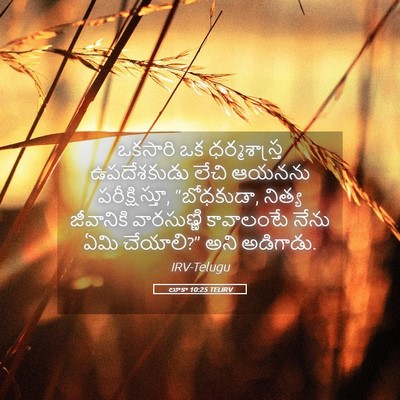 Picture 05 - లూకా 10:25 TELIRV - ఒకసారి ఒక - Bible Verse Picture